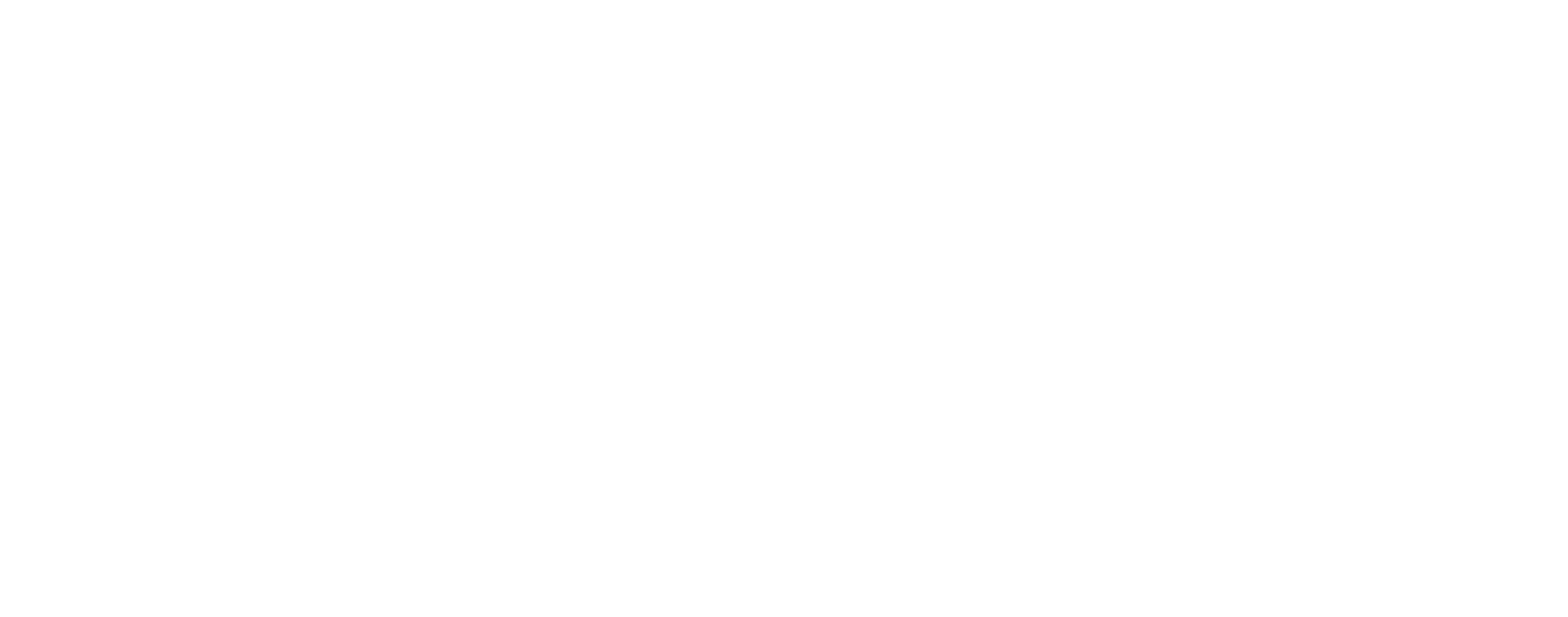 Logo de Mangueras Nacionales en color blanco para fondos oscuros y aplicaciones industriales.